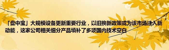 「盘中宝」大规模设备更新重要行业，以旧换新政策或为该市场注入新动能，这家公司相关细分产品填补了多项国内技术空白