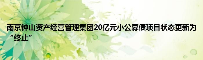 南京钟山资产经营管理集团20亿元小公募债项目状态更新为“终止”