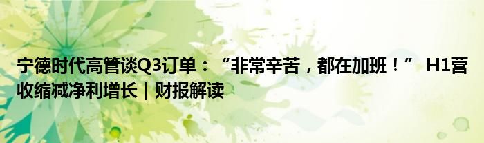 宁德时代高管谈Q3订单：“非常辛苦，都在加班！” H1营收缩减净利增长｜财报解读