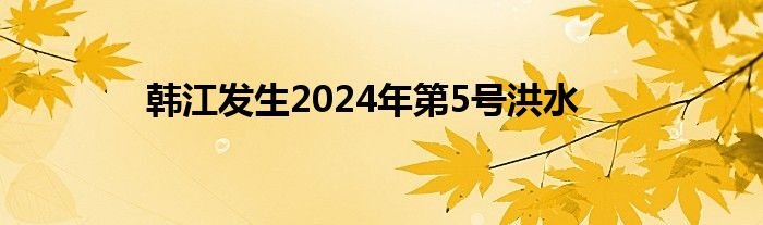 韩江发生2024年第5号洪水