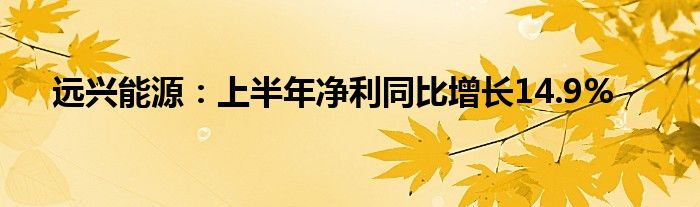 远兴能源：上半年净利同比增长14.9%