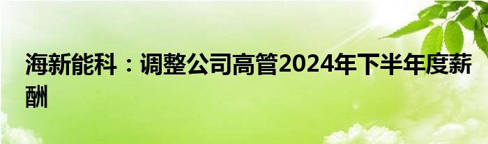 海新能科：调整公司高管2024年下半年度薪酬