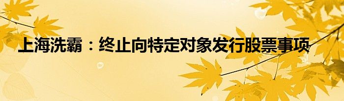 上海洗霸：终止向特定对象发行股票事项