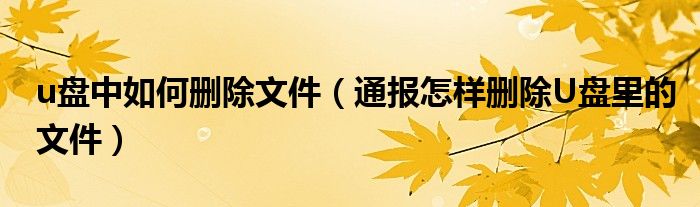 u盘中如何删除文件（通报怎样删除U盘里的文件）