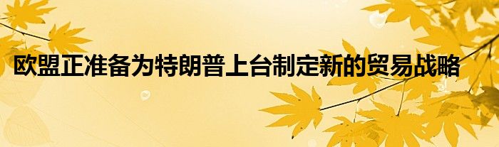 欧盟正准备为特朗普上台制定新的贸易战略