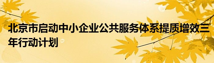 北京市启动中小企业公共服务体系提质增效三年行动计划