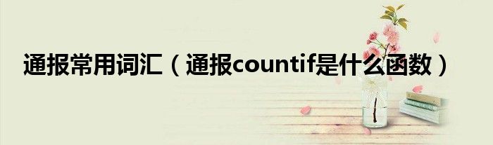 通报常用词汇（通报countif是什么函数）