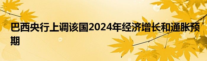 巴西央行上调该国2024年经济增长和通胀预期