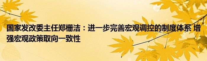 国家发改委主任郑栅洁：进一步完善宏观调控的制度体系 增强宏观政策取向一致性