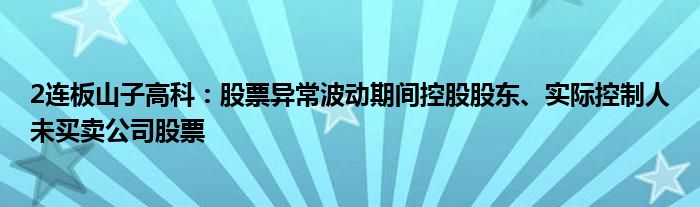 2连板山子高科：股票异常波动期间控股股东、实际控制人未买卖公司股票