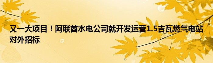 又一大项目！阿联酋水电公司就开发运营1.5吉瓦燃气电站对外招标