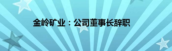 金岭矿业：公司董事长辞职