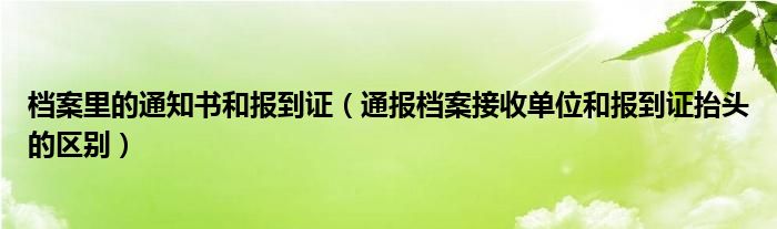 档案里的通知书和报到证（通报档案接收单位和报到证抬头的区别）