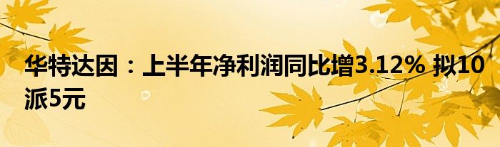 华特达因：上半年净利润同比增3.12% 拟10派5元