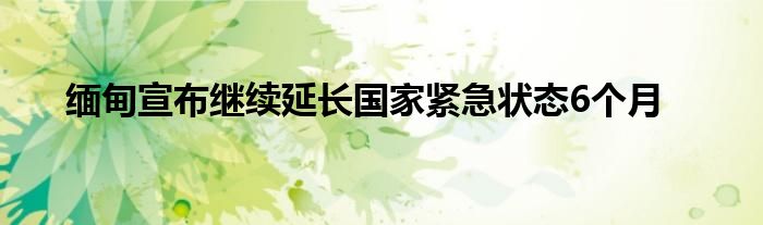 缅甸宣布继续延长国家紧急状态6个月