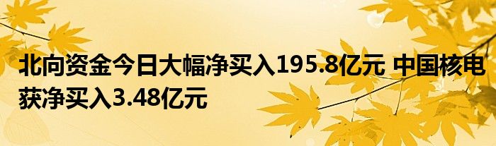 北向资金今日大幅净买入195.8亿元 中国核电获净买入3.48亿元