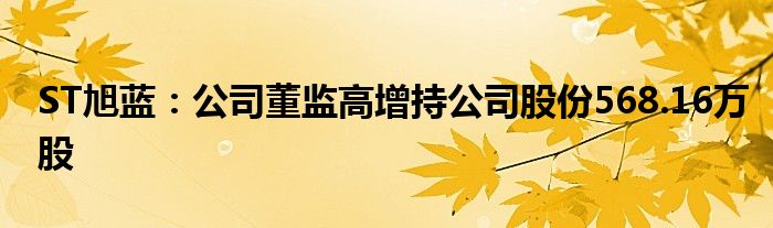 ST旭蓝：公司董监高增持公司股份568.16万股