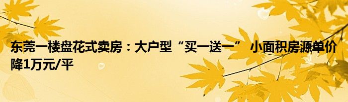 东莞一楼盘花式卖房：大户型“买一送一” 小面积房源单价降1万元/平