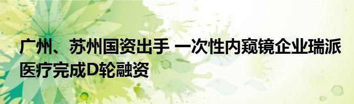 广州、苏州国资出手 一次性内窥镜企业瑞派医疗完成D轮融资