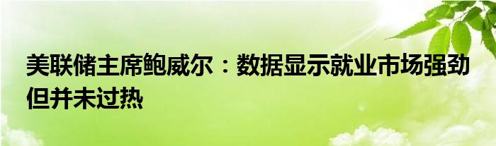 美联储主席鲍威尔：数据显示就业市场强劲 但并未过热