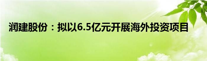 润建股份：拟以6.5亿元开展海外投资项目