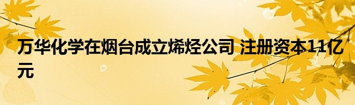 万华化学在烟台成立烯烃公司 注册资本11亿元