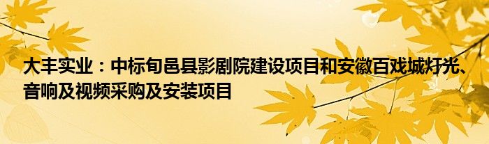 大丰实业：中标旬邑县影剧院建设项目和安徽百戏城灯光、音响及视频采购及安装项目