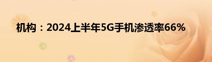 机构：2024上半年5G手机渗透率66%