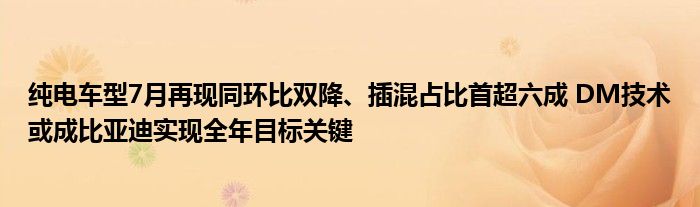 纯电车型7月再现同环比双降、插混占比首超六成 DM技术或成比亚迪实现全年目标关键