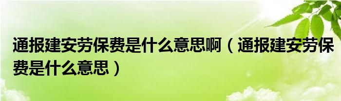 通报建安劳保费是什么意思啊（通报建安劳保费是什么意思）