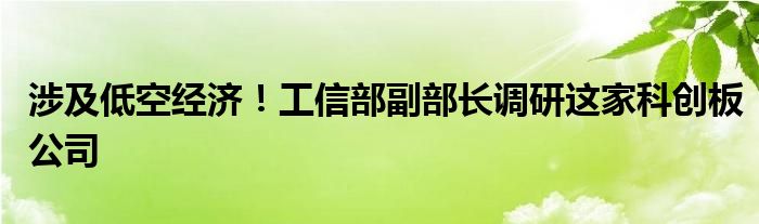 涉及低空经济！工信部副部长调研这家科创板公司