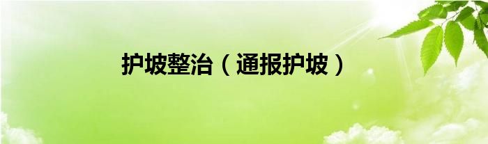 护坡整治（通报护坡）