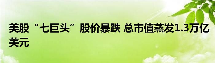 美股“七巨头”股价暴跌 总市值蒸发1.3万亿美元