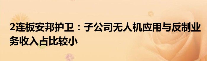 2连板安邦护卫：子公司无人机应用与反制业务收入占比较小