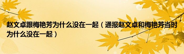 赵文卓跟梅艳芳为什么没在一起（通报赵文卓和梅艳芳当时为什么没在一起）