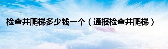 检查井爬梯多少钱一个（通报检查井爬梯）