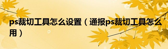 ps裁切工具怎么设置（通报ps裁切工具怎么用）