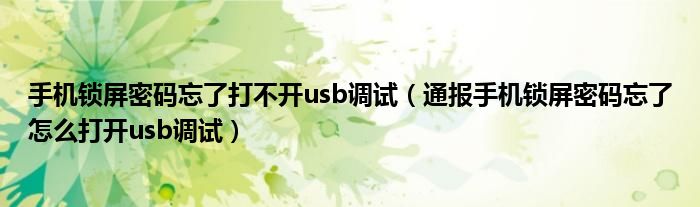 手机锁屏密码忘了打不开usb调试（通报手机锁屏密码忘了怎么打开usb调试）