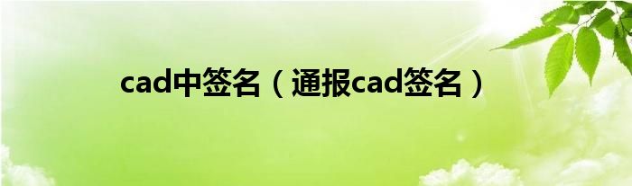 cad中签名（通报cad签名）