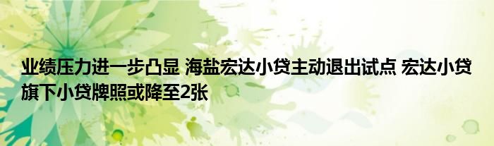 业绩压力进一步凸显 海盐宏达小贷主动退出试点 宏达小贷旗下小贷牌照或降至2张