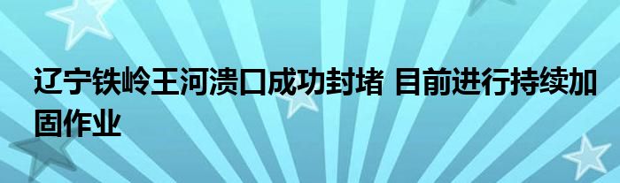 辽宁铁岭王河溃口成功封堵 目前进行持续加固作业