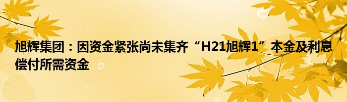 旭辉集团：因资金紧张尚未集齐“H21旭辉1”本金及利息偿付所需资金