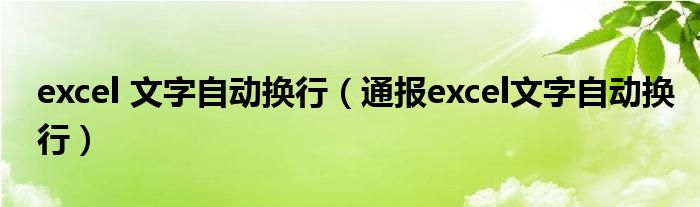 excel 文字自动换行（通报excel文字自动换行）