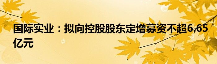 国际实业：拟向控股股东定增募资不超6.65亿元