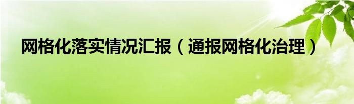 网格化落实情况汇报（通报网格化治理）