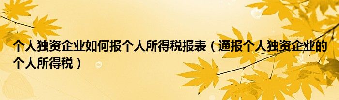 个人独资企业如何报个人所得税报表（通报个人独资企业的个人所得税）