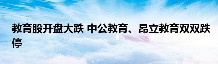 教育股开盘大跌 中公教育、昂立教育双双跌停