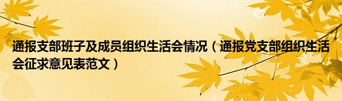 通报支部班子及成员组织生活会情况（通报党支部组织生活会征求意见表范文）