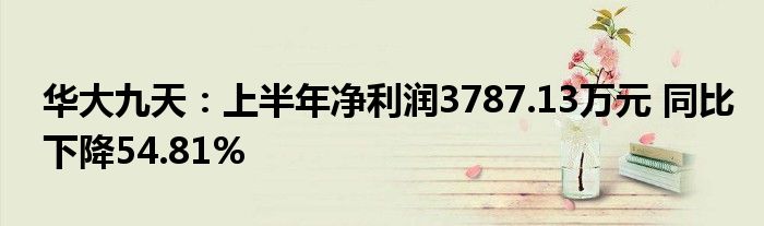 华大九天：上半年净利润3787.13万元 同比下降54.81%