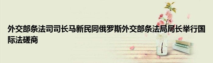 外交部条法司司长马新民同俄罗斯外交部条法局局长举行国际法磋商